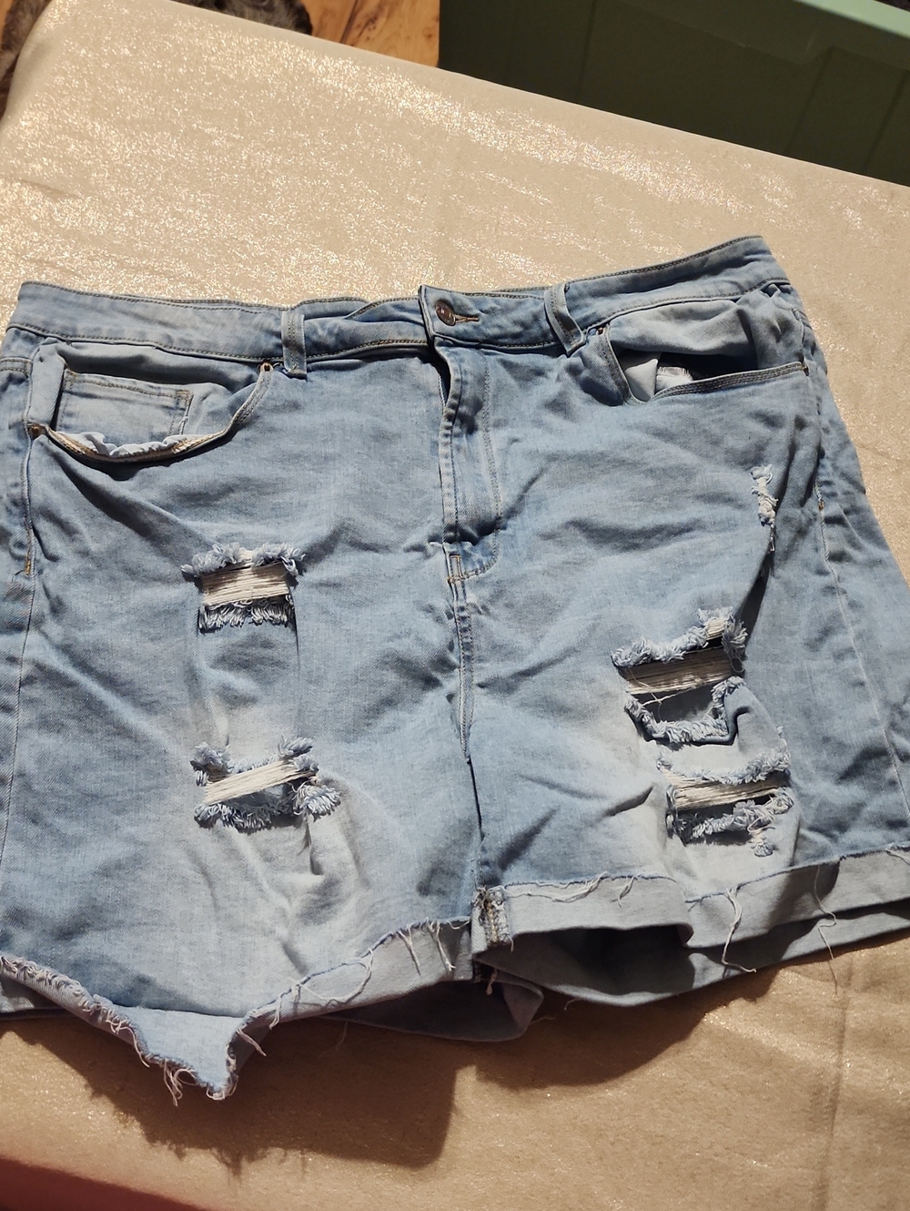 Women’s Light Blue Distressed Denim Jean Shorts